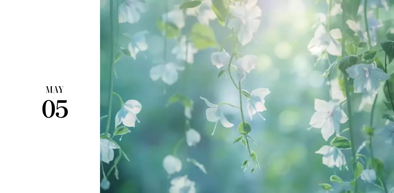 黒と白のシンプルな花写真2025年版カレンダー