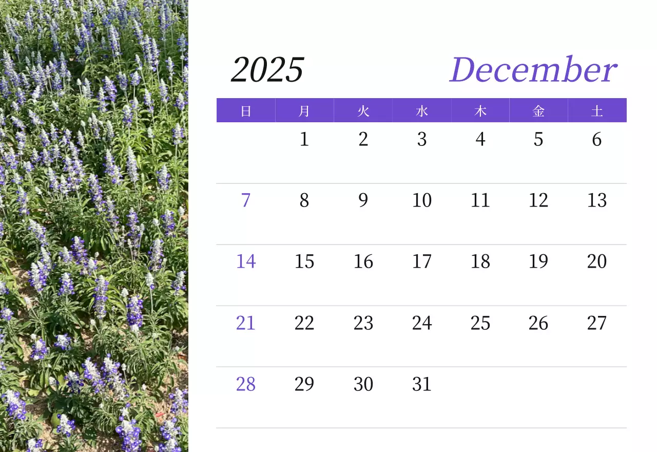 カラフルで高級感のあるフラワーカレンダー