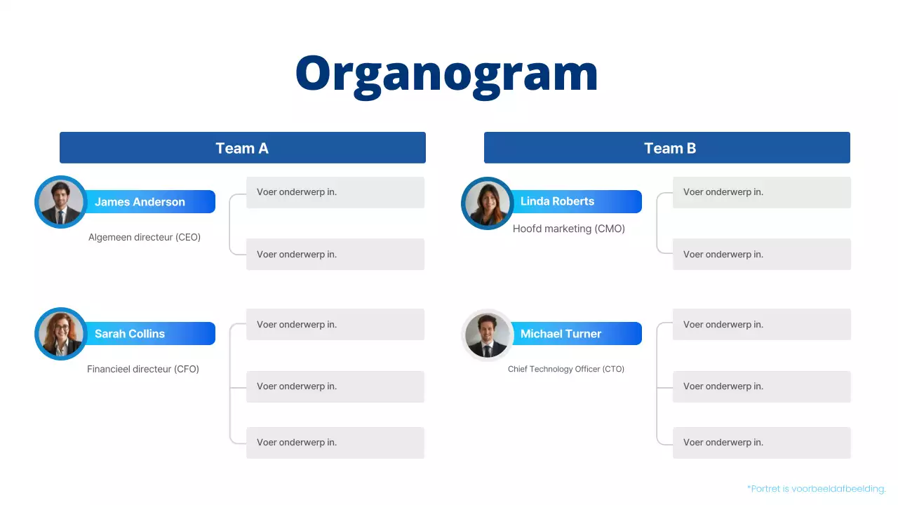 blauw eenvoudig organigram layout