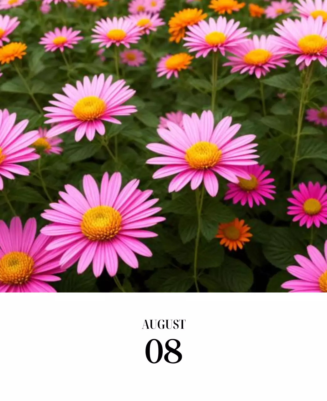 黒と白のシンプルな花写真カレンダー