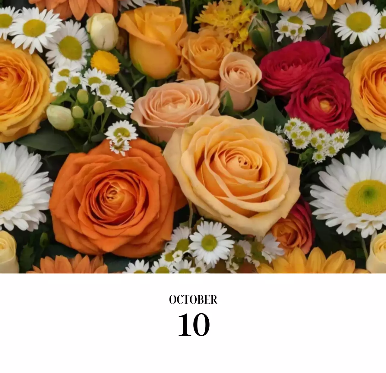 黒と白のシンプルな花写真2025年版カレンダー