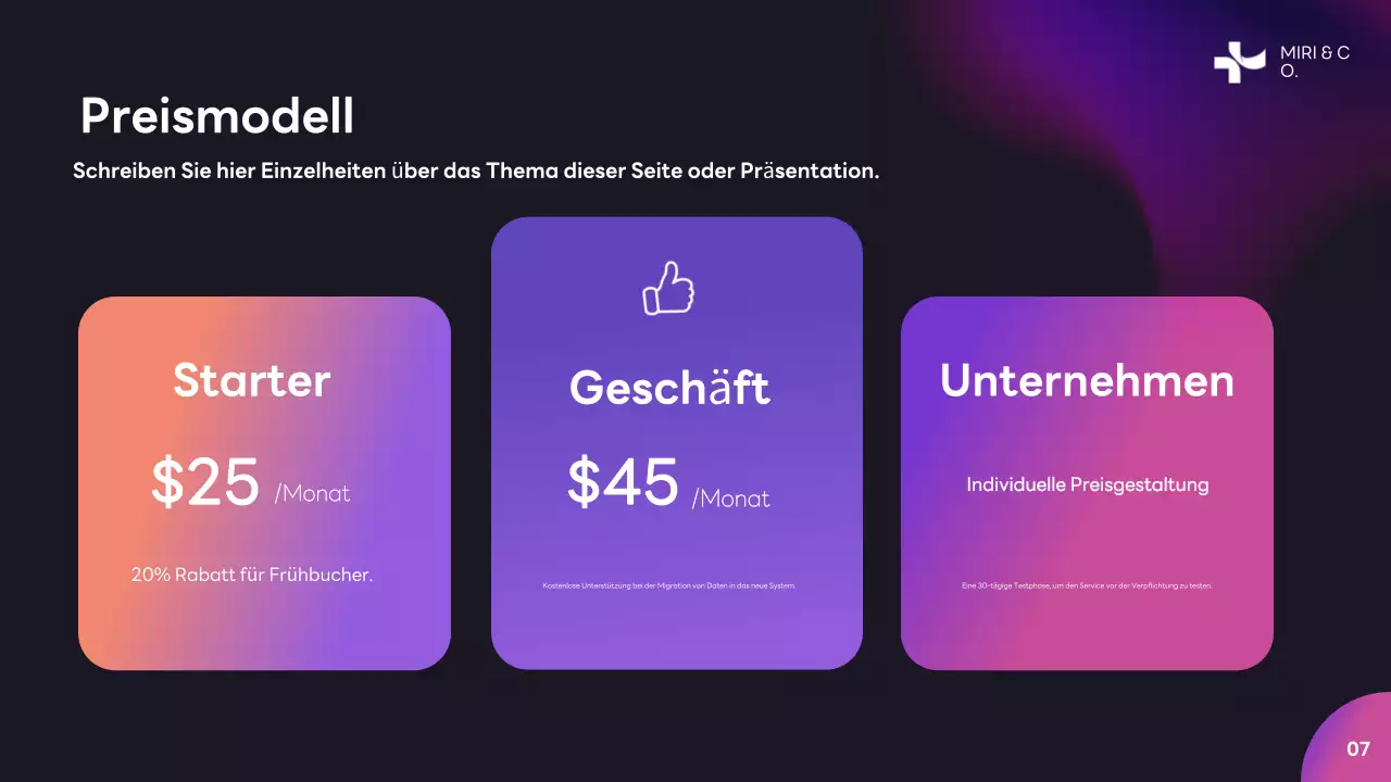 Lila Moderner Businessplan