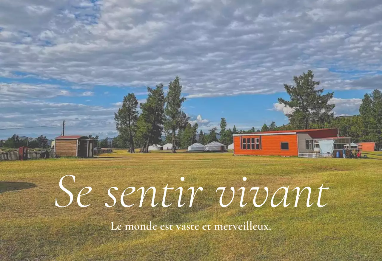 Set de cartes postales de la nature verte de l'île de Jeju