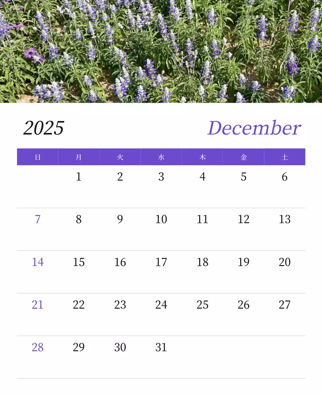 カラフルで高級感のあるフラワーカレンダー