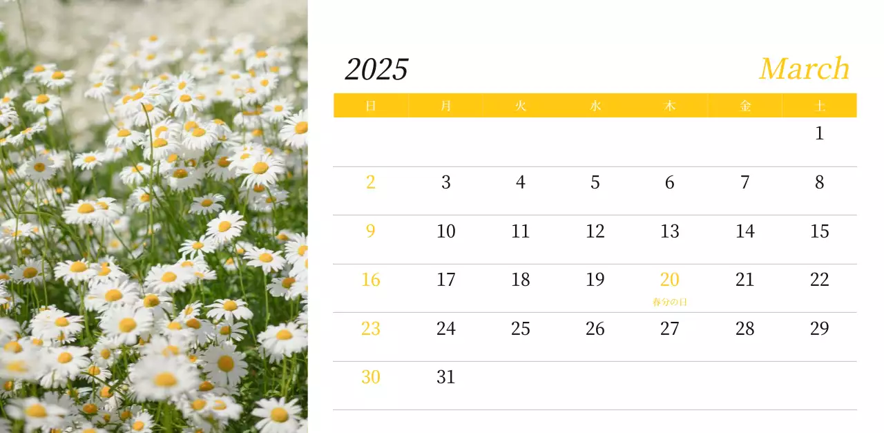 カラフルで美しい花のカレンダー