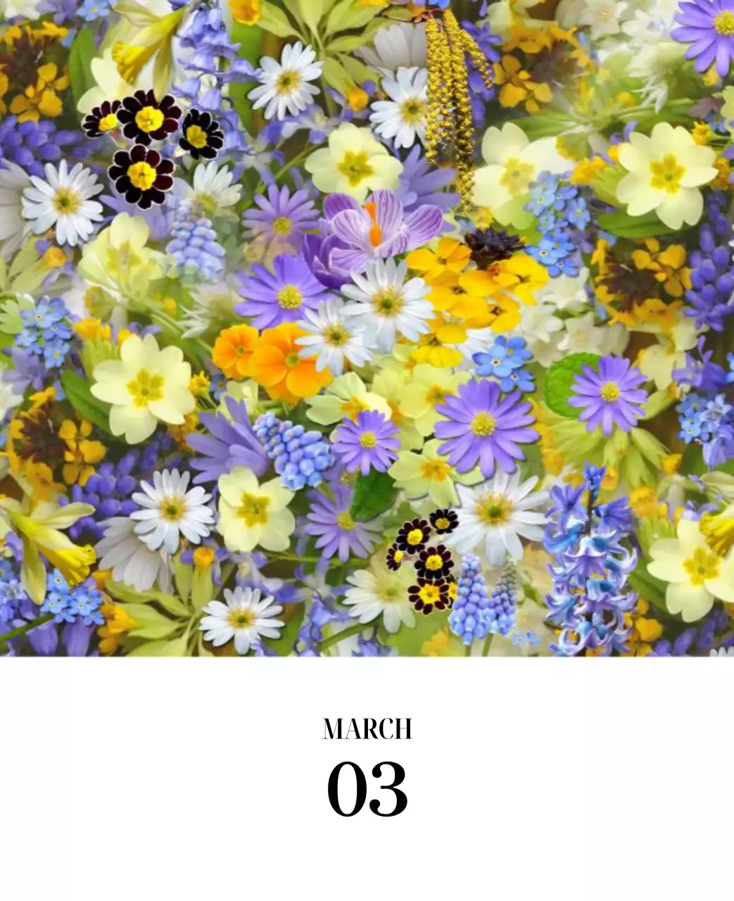 黒と白のシンプルな花写真カレンダー