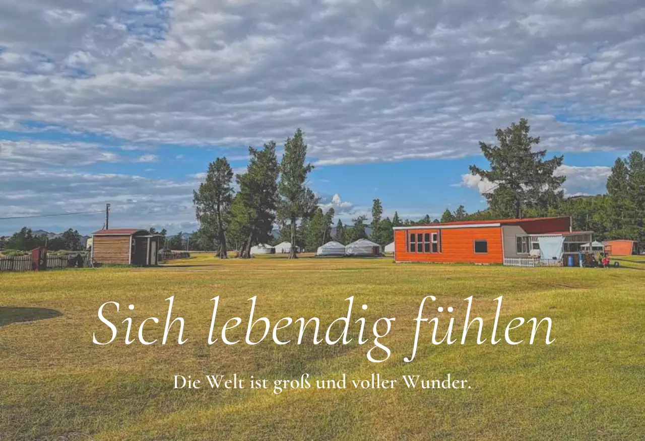 Grüne Natur Jeju Insel Postkarten Set