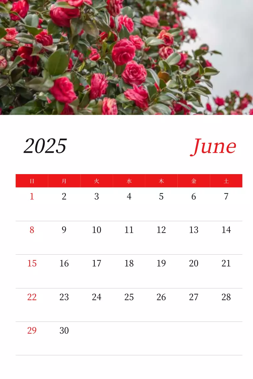 カラフルで高級感のあるフラワーカレンダー