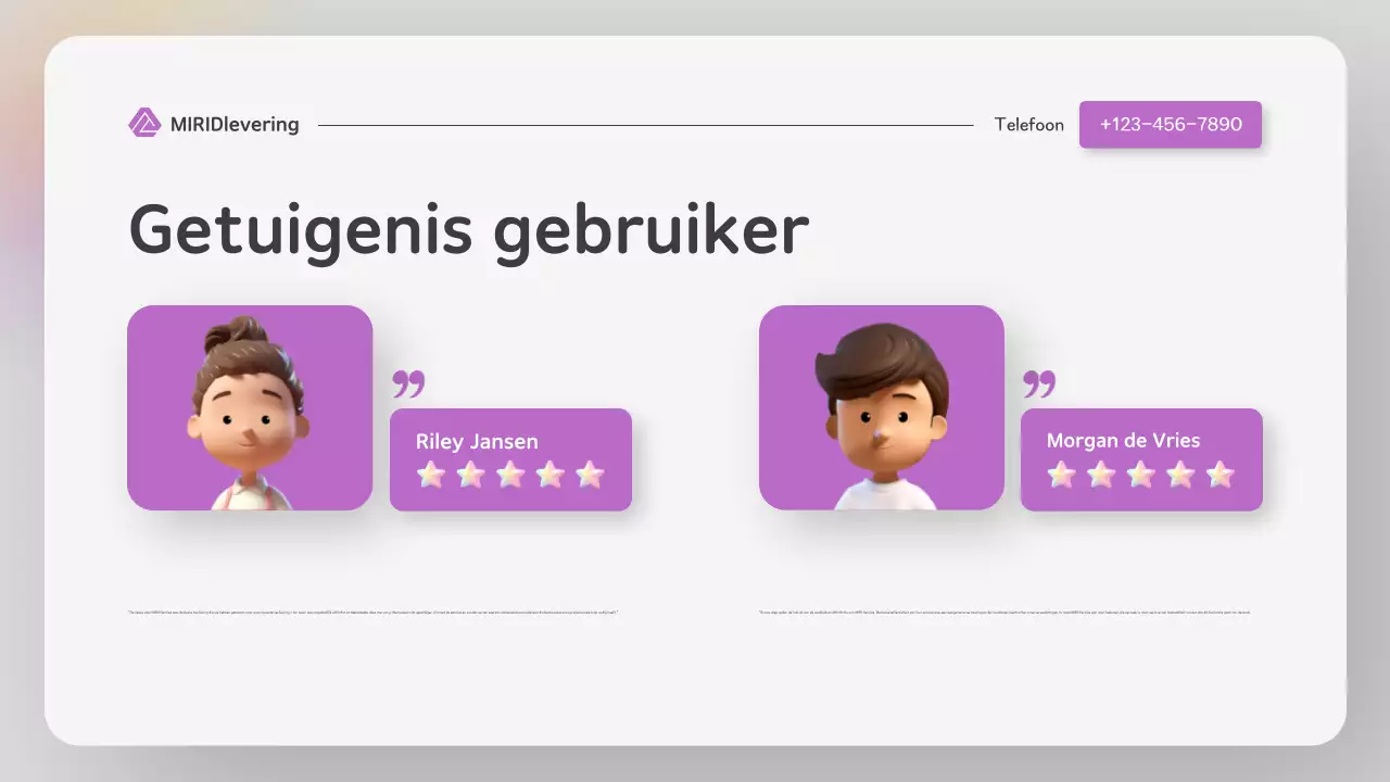 Moderne kleurrijke website stijl levering presentatie