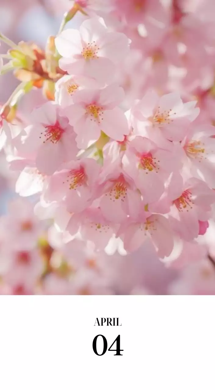 黒と白のシンプルな花写真2025年版カレンダー