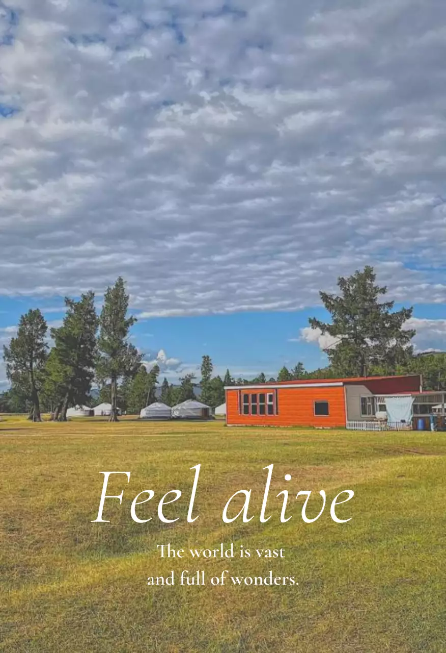 초록 자연 여행 엽서세트