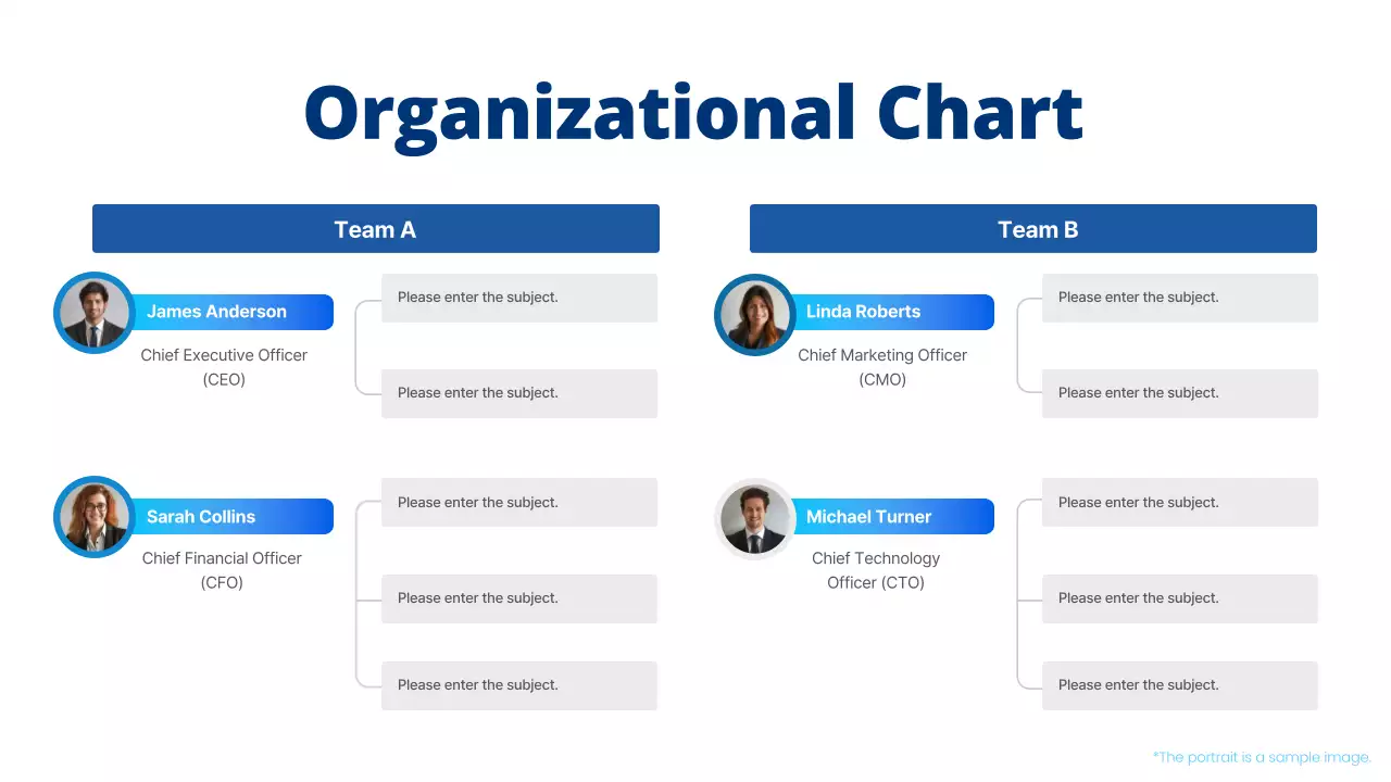 Blue Professional Organizational Document Infographic