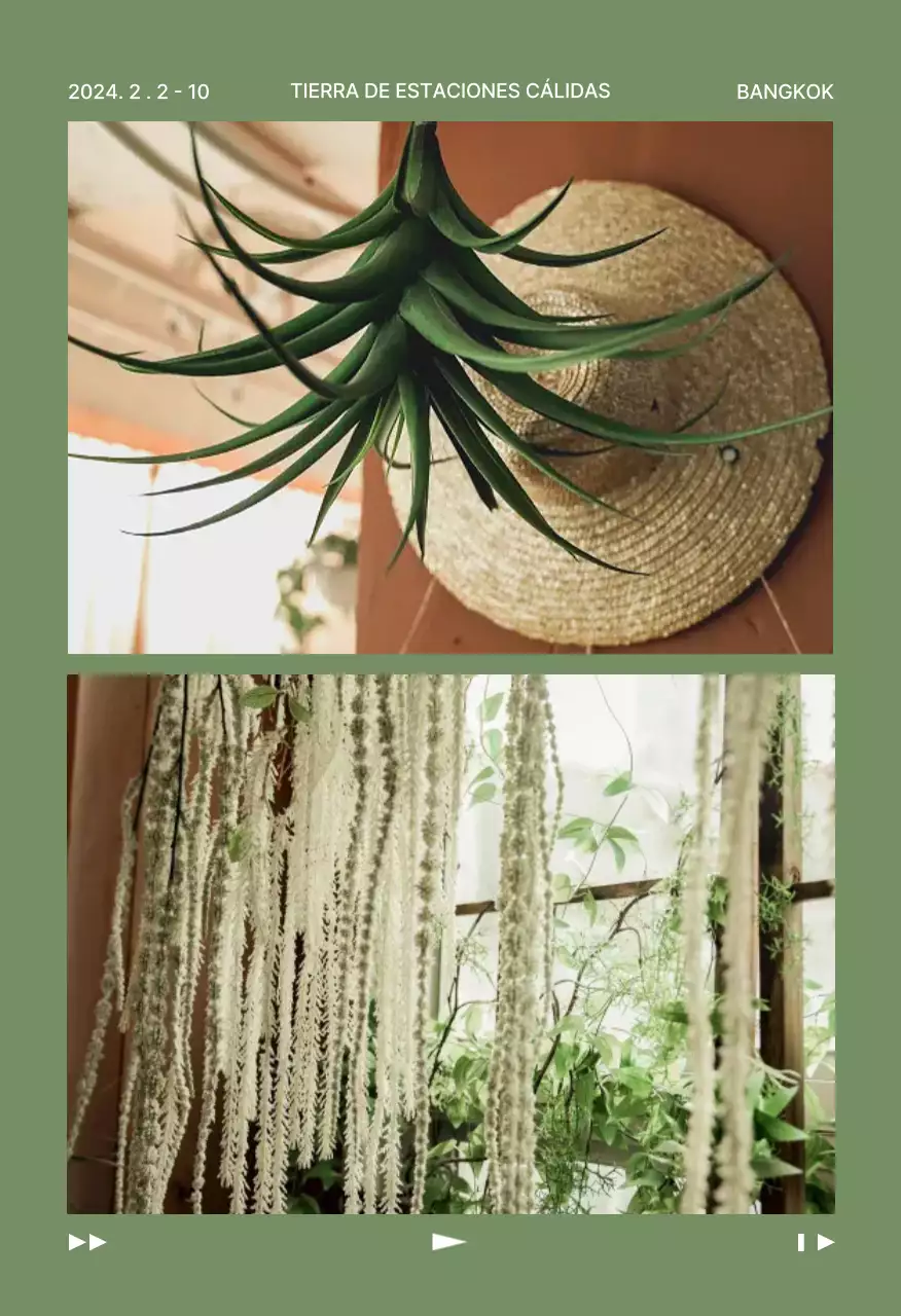 Set de postales abstractas de viajes por la naturaleza