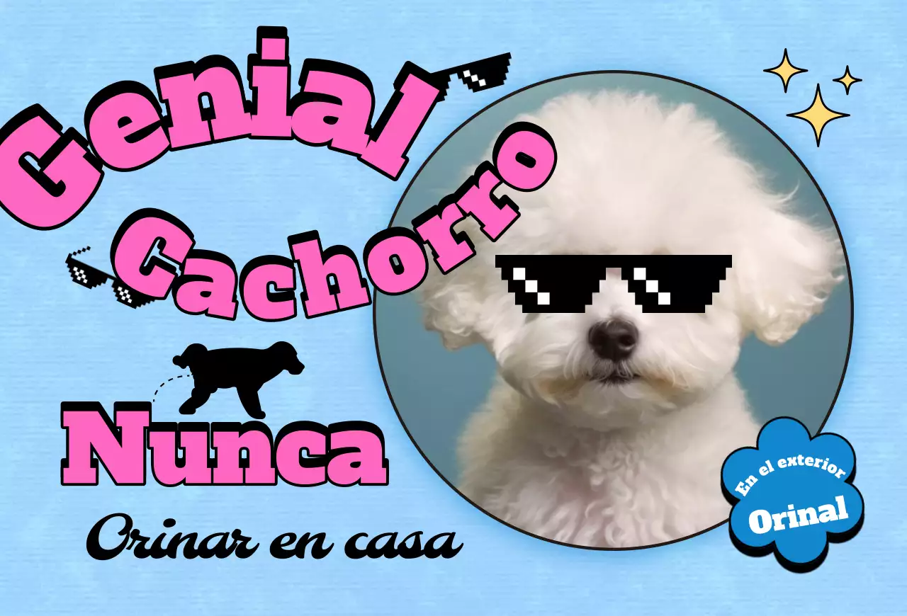 Postal Pop Pet Photocard