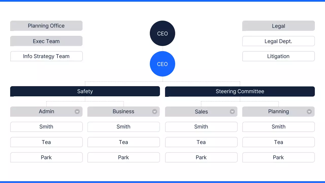 Blue Professional Company Structure Document Infographic