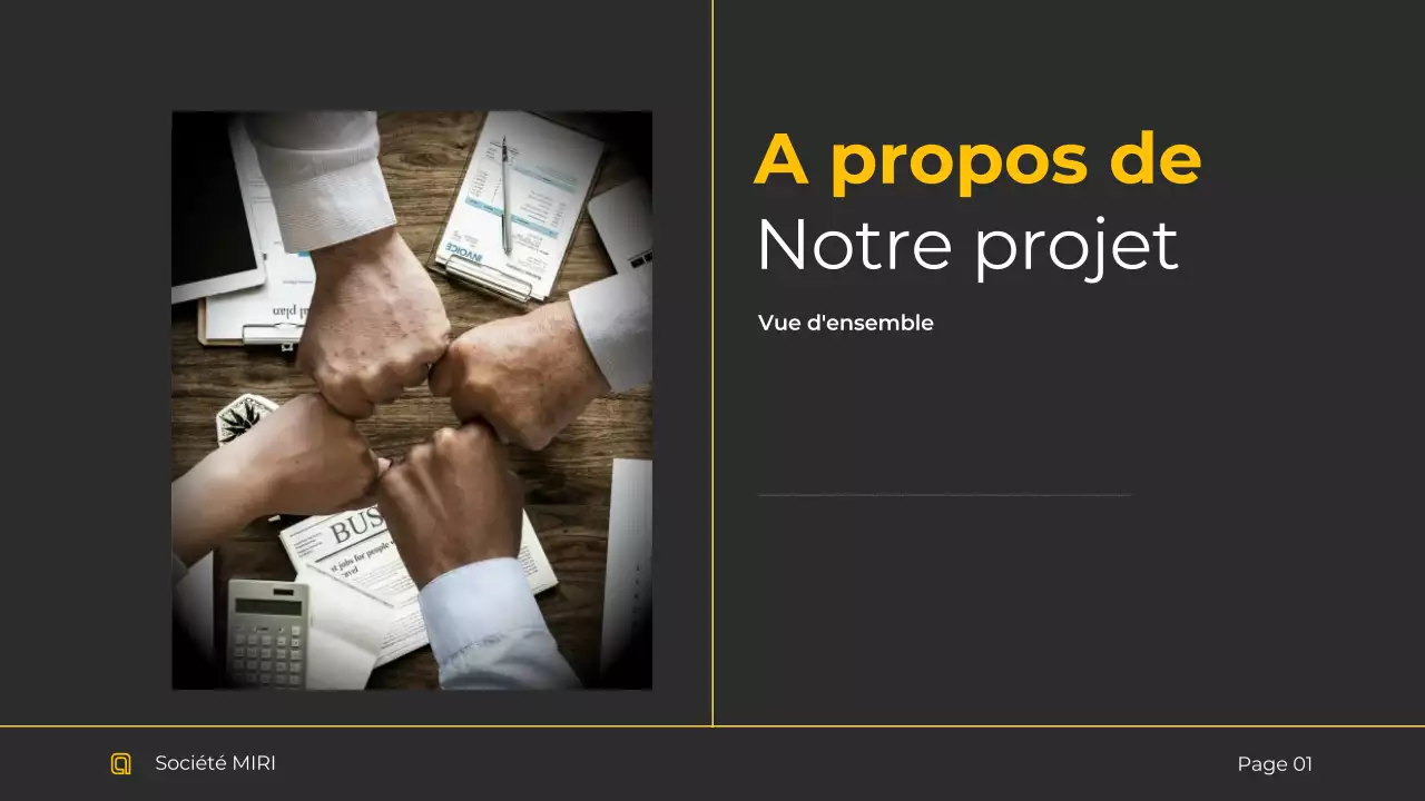 Rapport sur les entreprises modernes noires