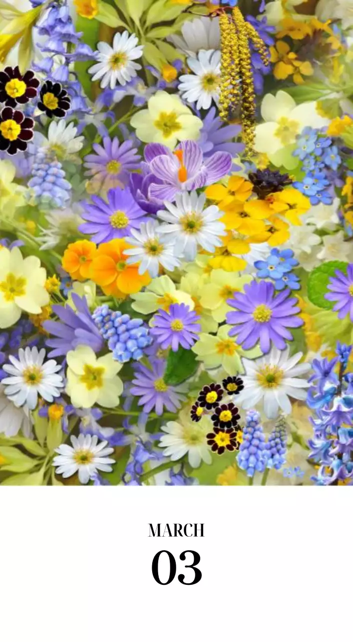 黒と白のシンプルな花写真2025年版カレンダー