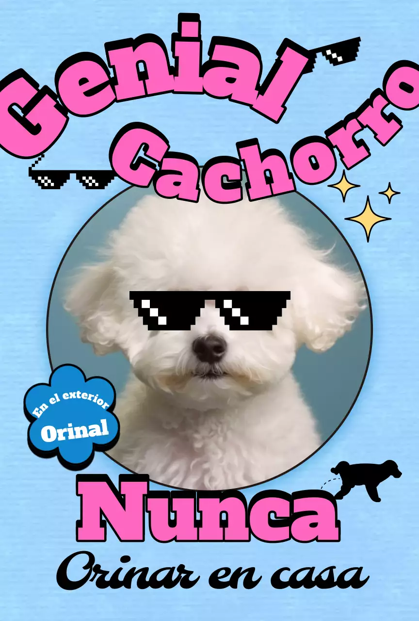 Postal Pop Pet Photocard