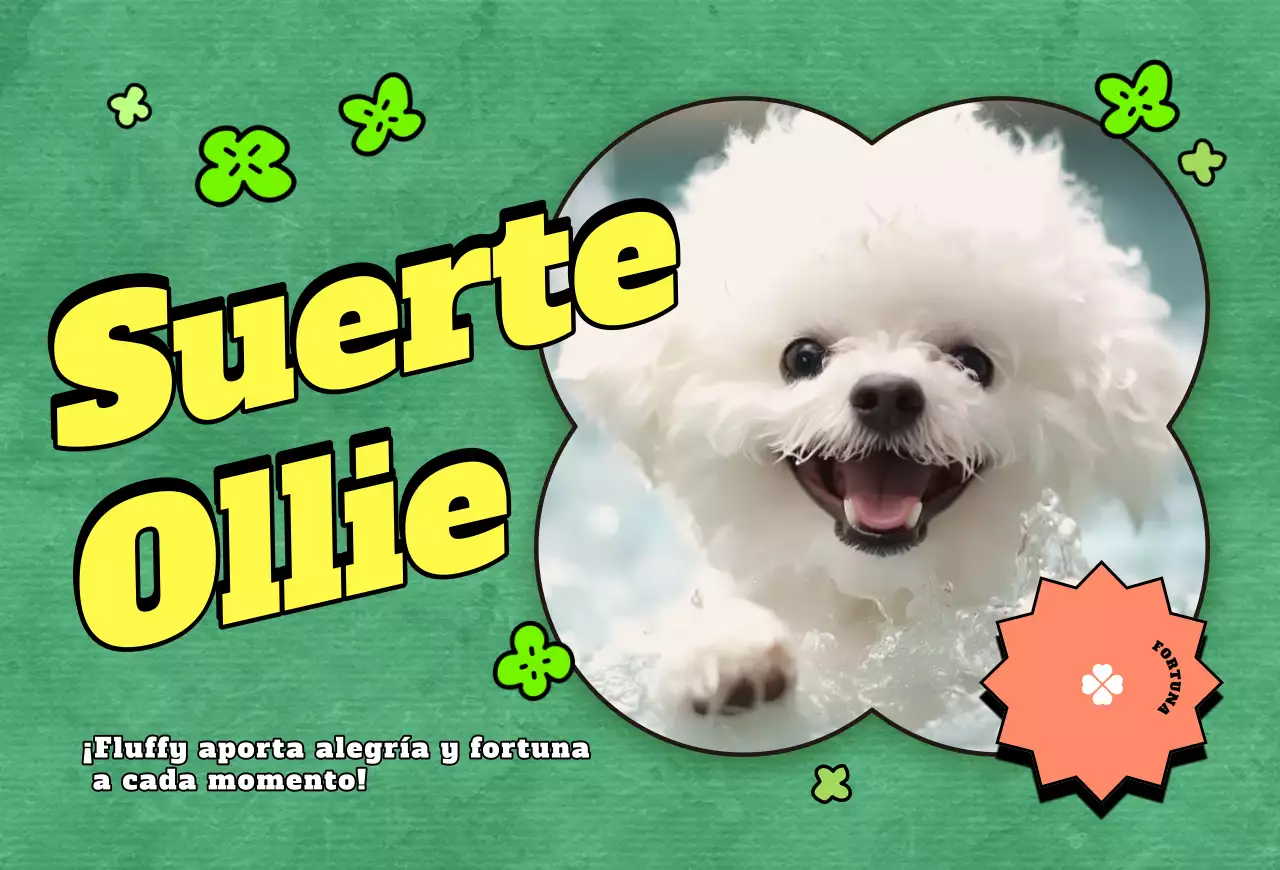 Postal Pop Pet Photocard