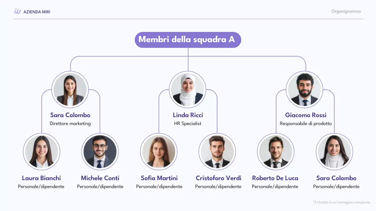 collezione moderna di organigrammi viola