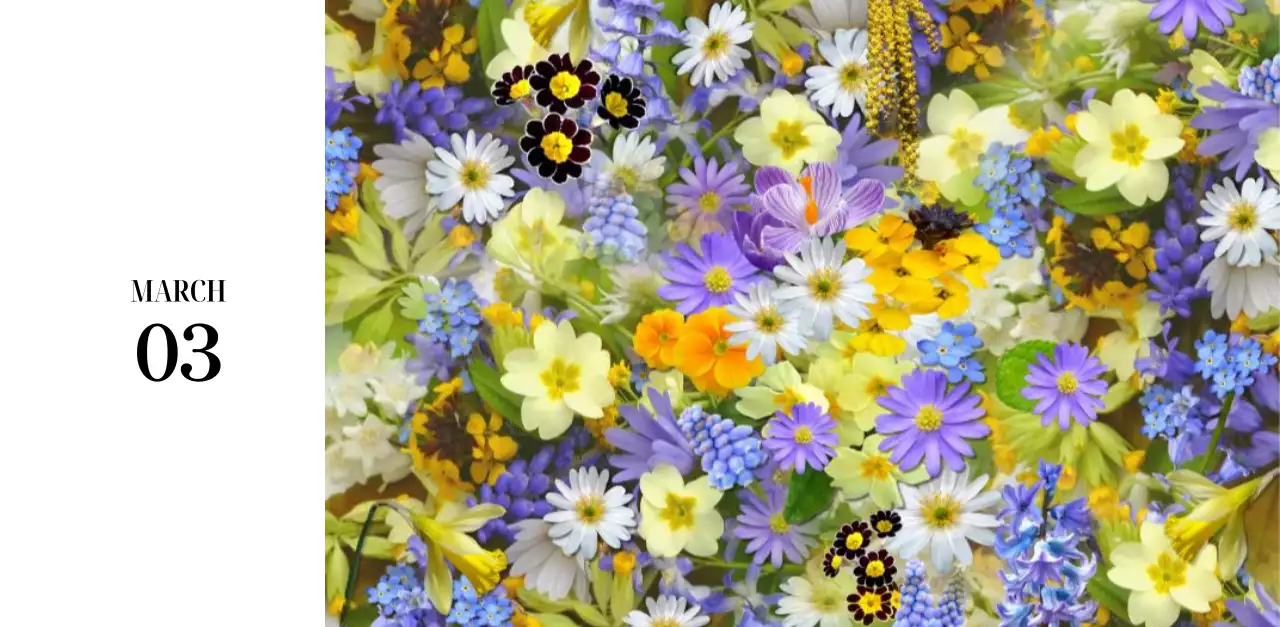 黒と白のシンプルな花写真2025年版カレンダー