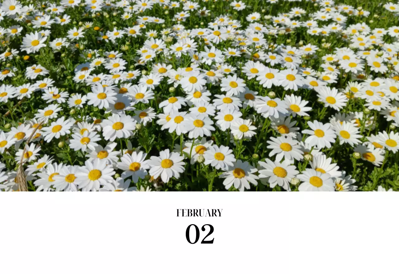 黒と白のシンプルな花写真カレンダー