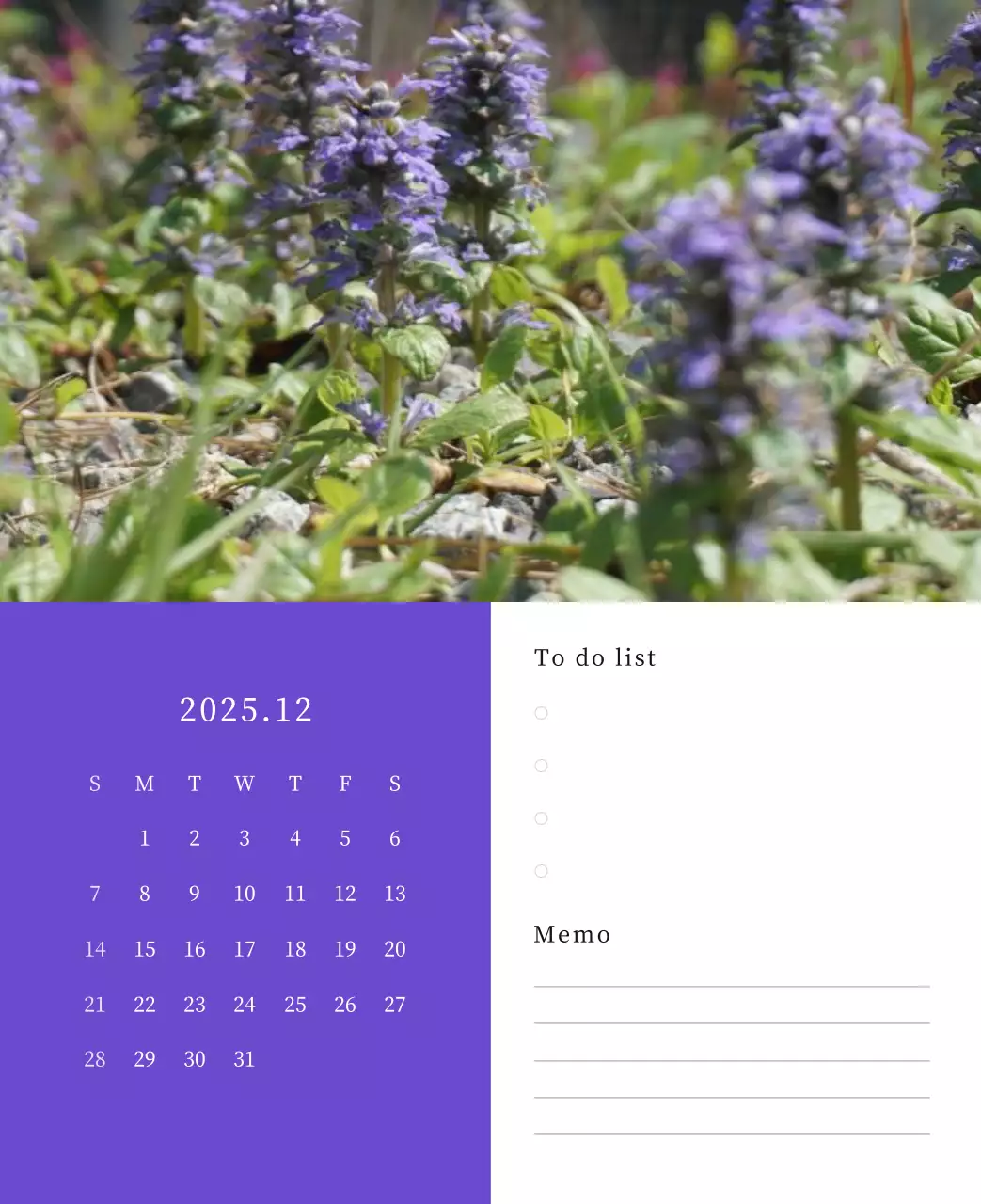 カラフルで高級感のあるフラワーカレンダー