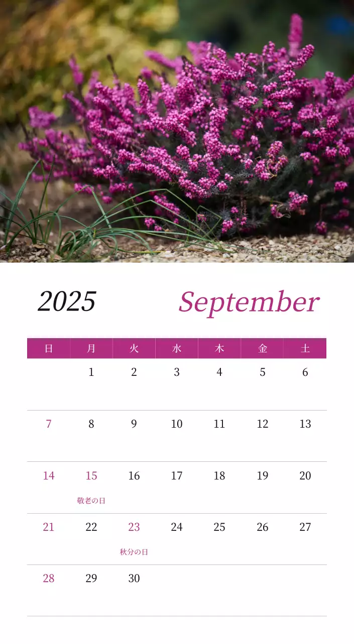 カラフルで美しい花のカレンダー