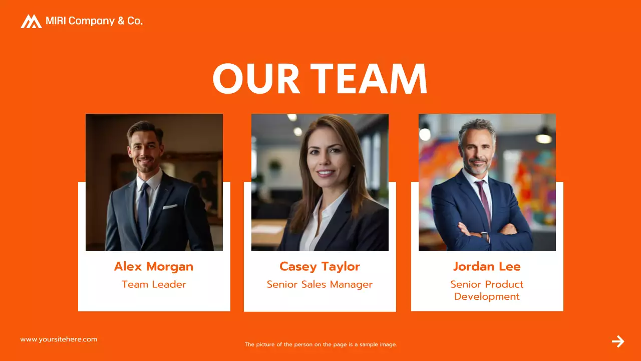 Orange Professional Project Proposal Presentation