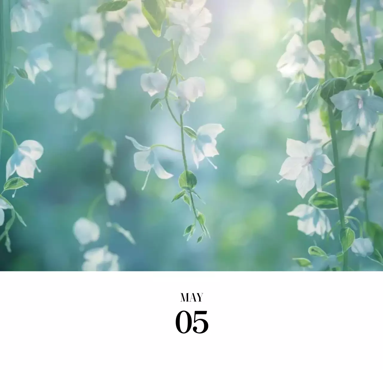 黒と白のシンプルな花写真2025年版カレンダー