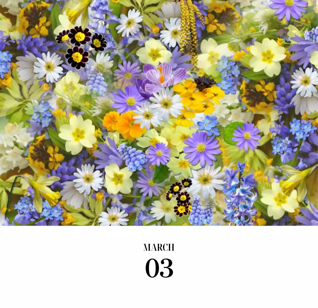 黒と白のシンプルな花写真2025年版カレンダー