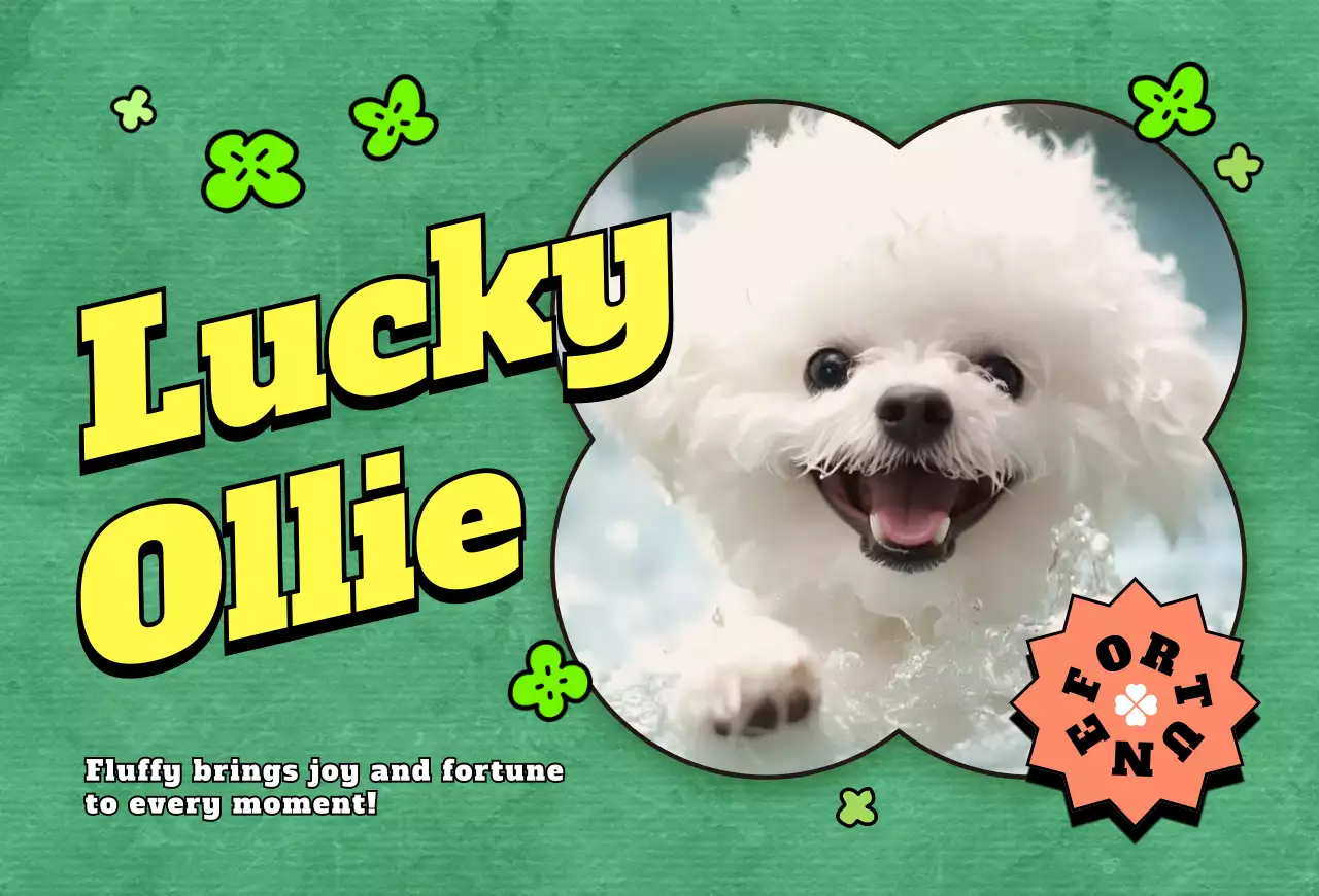 팝 반려동물 포토카드 엽서