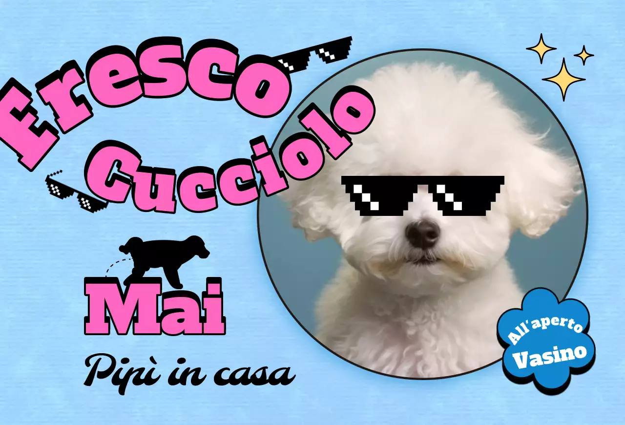 Cartolina Pop Pet Photocard