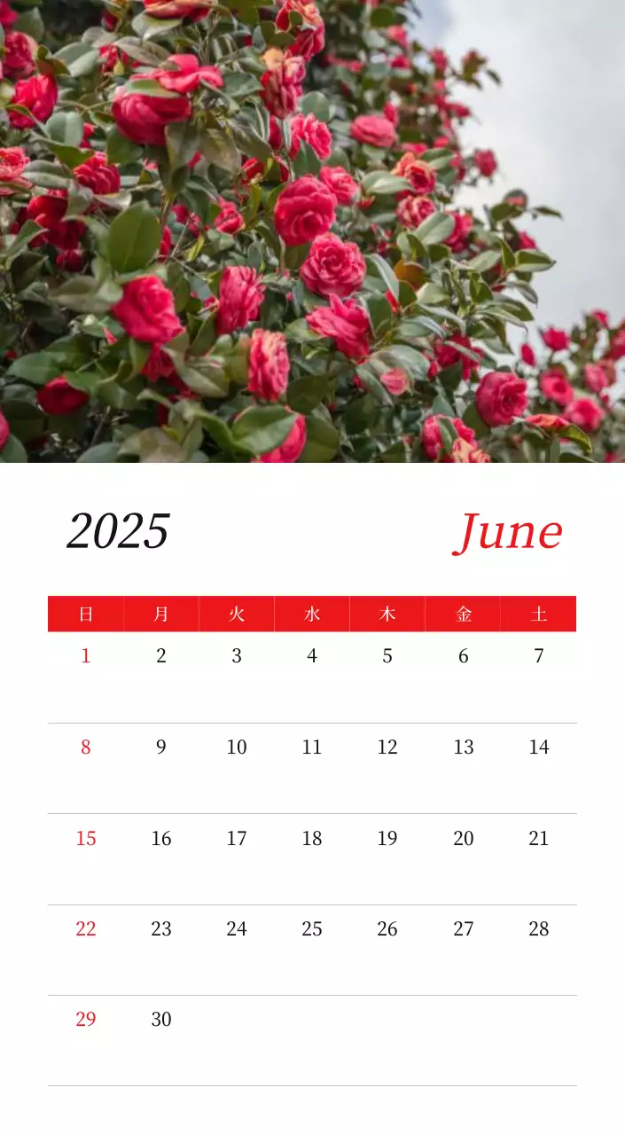 カラフルで美しい花のカレンダー