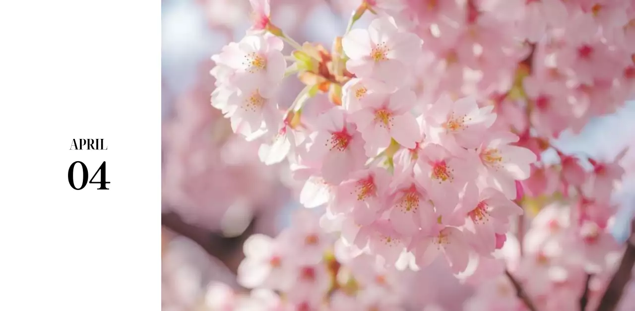 黒と白のシンプルな花写真2025年版カレンダー