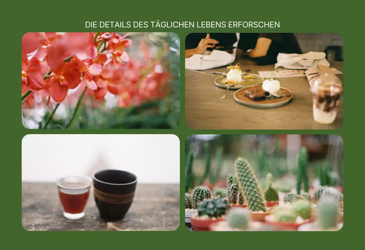 Grüne Natur Jeju Insel Postkarten Set