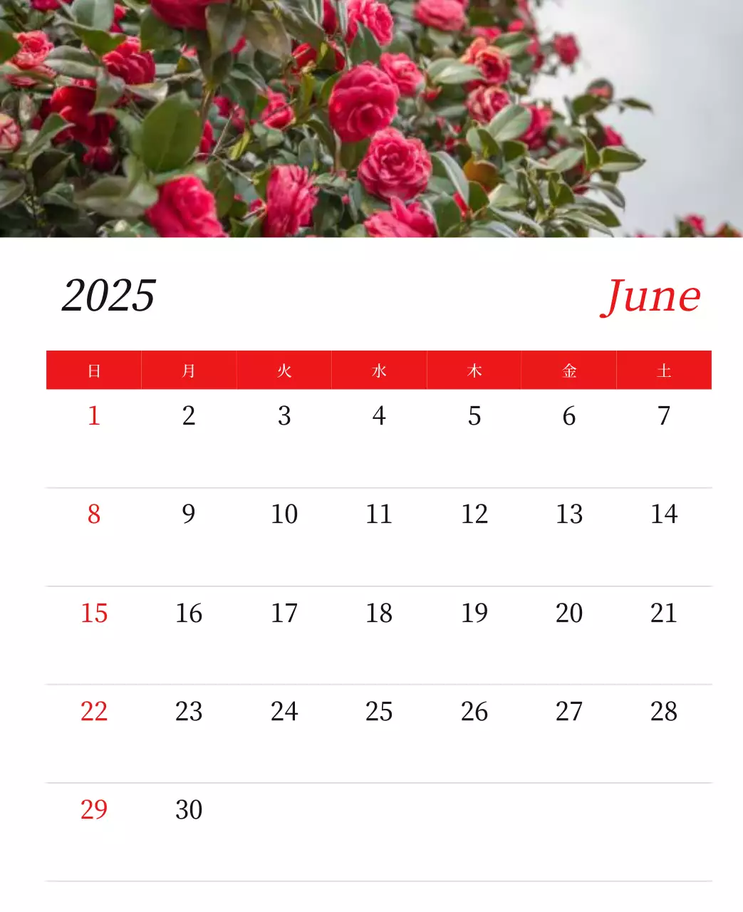 カラフルで高級感のあるフラワーカレンダー