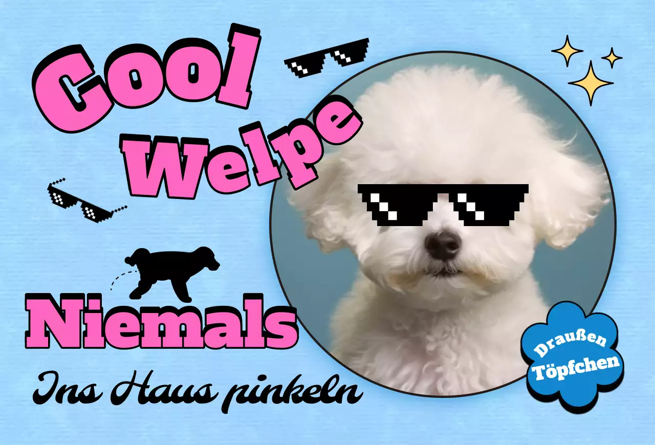 Pop Pet Fotokarte Postkarte