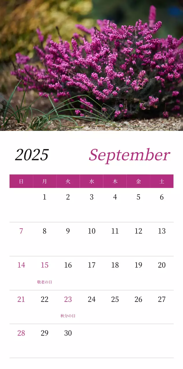 カラフルで高級感のあるフラワーカレンダー