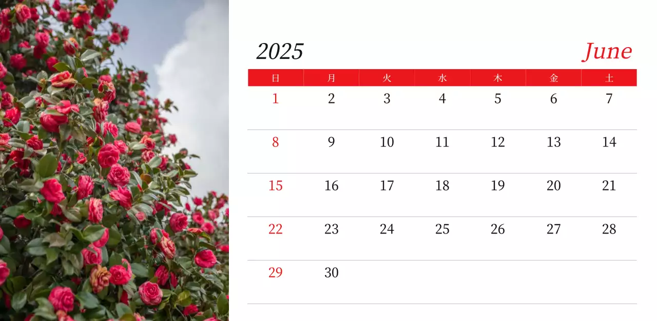カラフルで美しい花のカレンダー