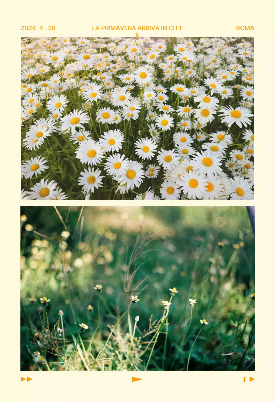 Set di cartoline di viaggio sulla natura astratta