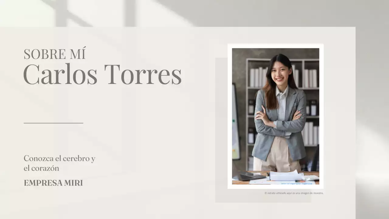 Clean Aesthetic Presentación de perfil sobre mí para profesionales