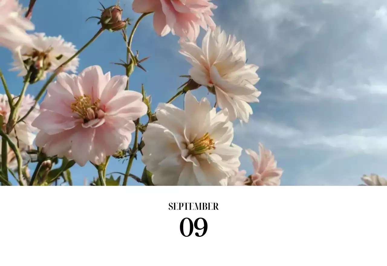 黒と白のシンプルな花写真カレンダー