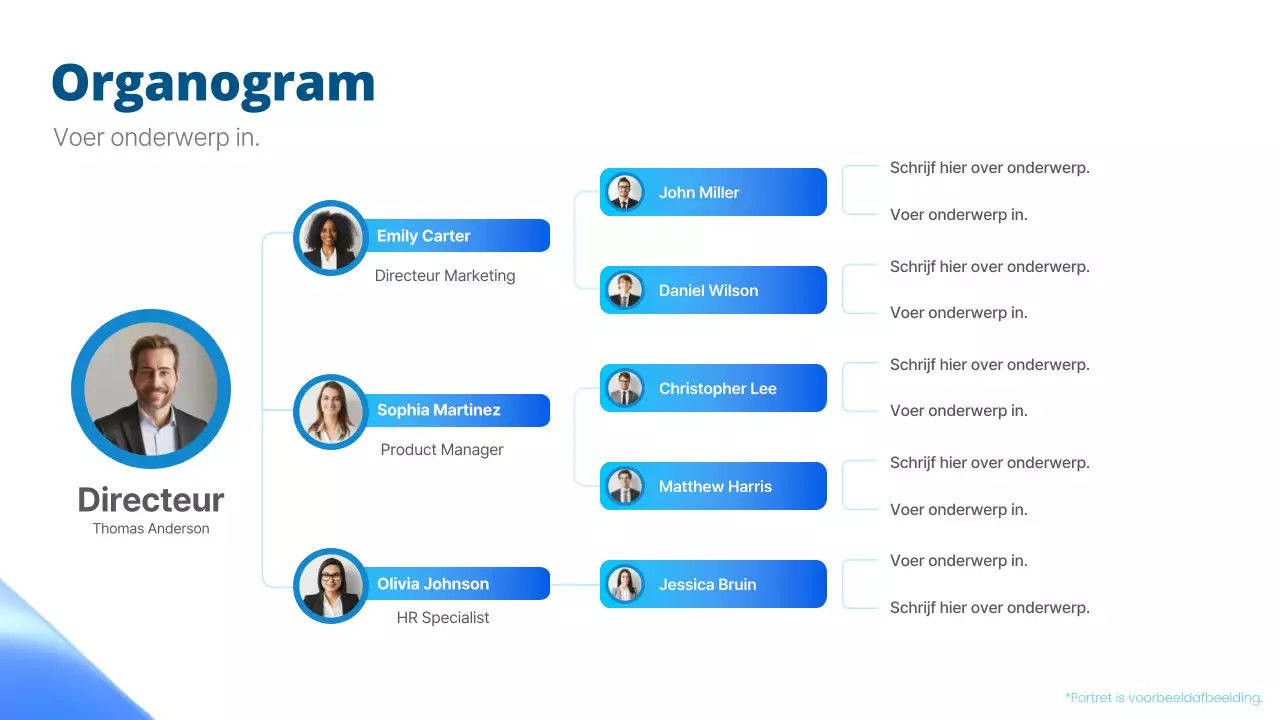 blauw eenvoudig organigram ontwerp