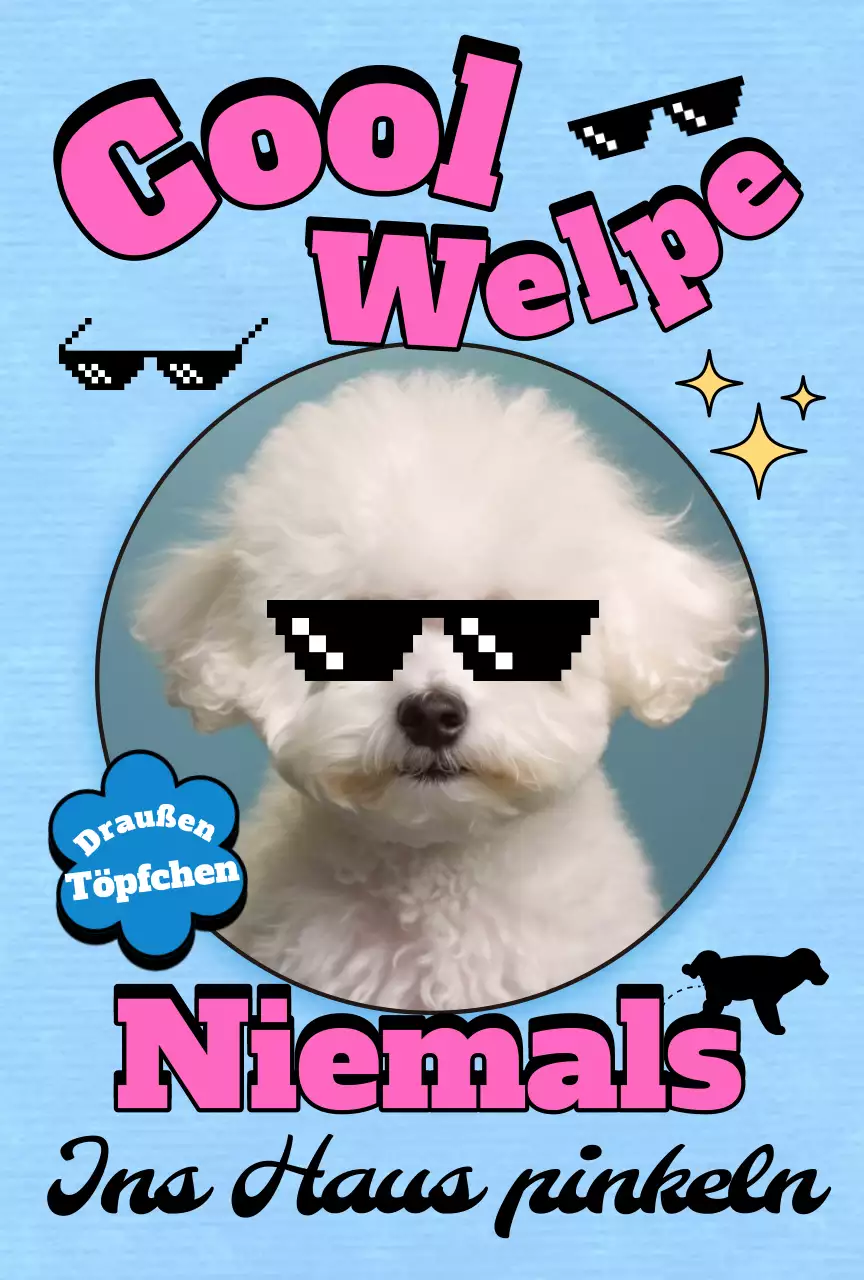 Pop Pet Fotokarte Postkarte