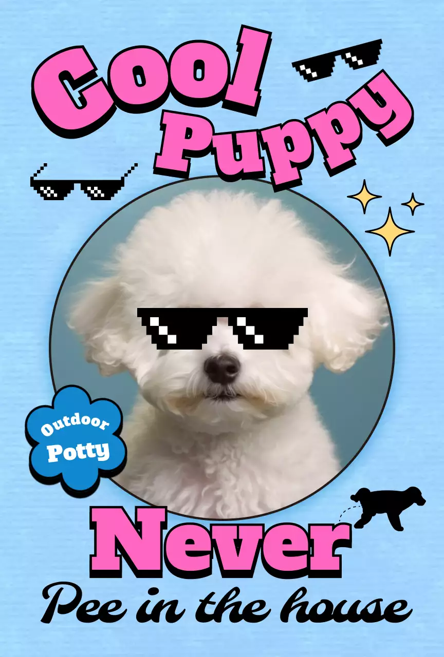 팝 반려동물 포토카드 엽서