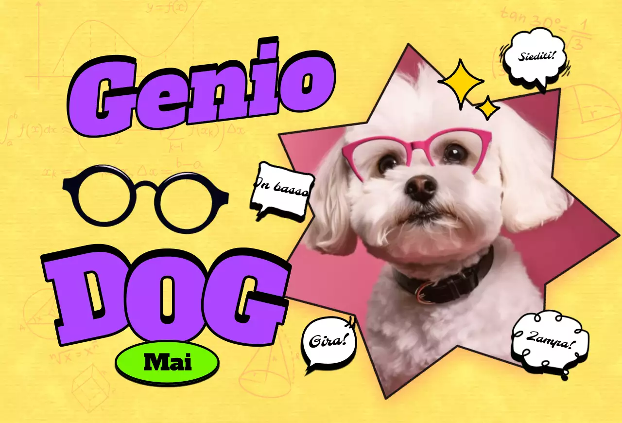 Cartolina Pop Pet Photocard