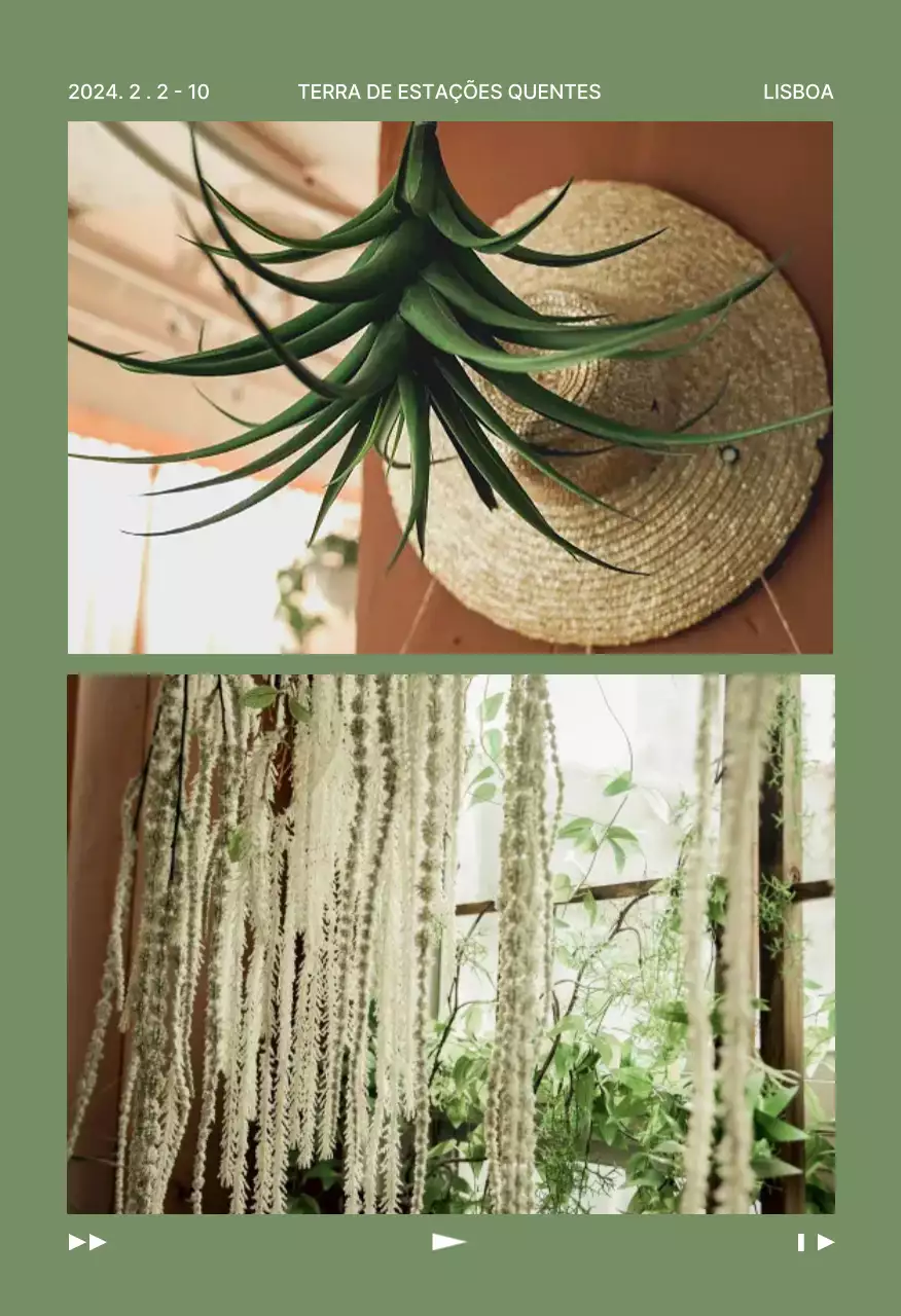 Conjunto de postais de viagem da natureza abstrata