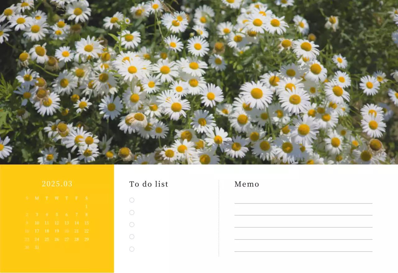 カラフルで高級感のあるフラワーカレンダー