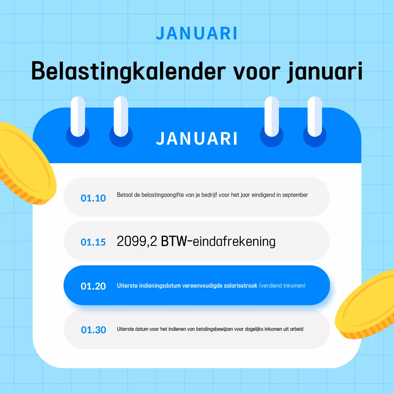 Lichtblauwe eenvoudige handleiding voor belastingschema's